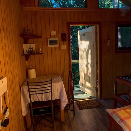 Recinto Tiny House Los Lleuquesヴィラ エクステリア 写真